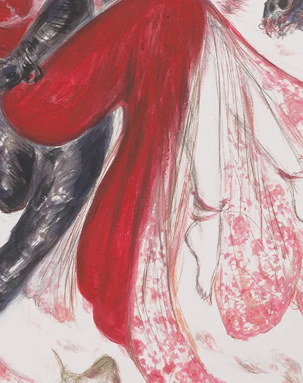Detail of the cover: the painted red dress and sheer pink lace sleeves